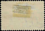VEGAS - 1898 10c Trans-Miss - Scott 290 - Solid