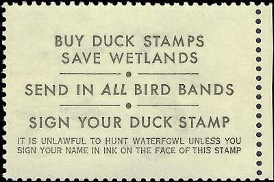 VEGAS - 1975 Duck Hunting Stamp - Scott RW42 - MNH, Undisturbed OG - Nice!