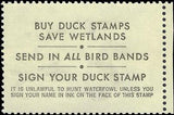 VEGAS - 1975 Duck Hunting Stamp - Scott RW42 - MNH, Undisturbed OG - Nice!