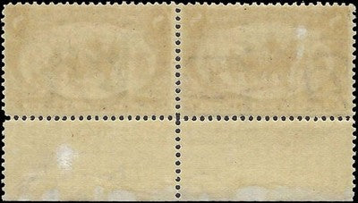 c1898 - Trans-Mississippi 8c - Scott 289 - Imprint Pair - MNH Gum Disturbance Spot
