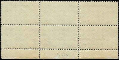 c1934 - Scott CE1 Air Special Delivery Plate Block of 6 - MNH, OG