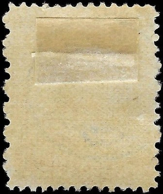 c1883 - Scott 210 2c Stamp with US Mail Fancy Cancel!