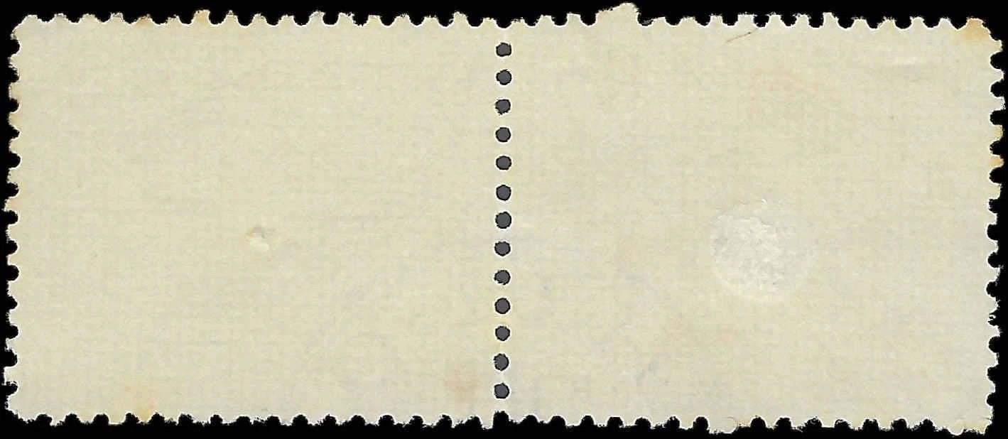 1894 USA Hawaii - Scott 74 Pair - Used with Visible Hilo Cancel