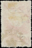 VEGAS - 1902 New Zealand Mt Cook, 5sh - Scott 120 - WM61 - Cat= $300!
