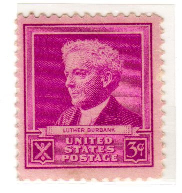 1940 Luther Burbank - Scientists - Single 3c Postage Stamps - Scott 876 - MNH,OG