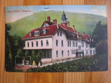 1918 Germany Postcard - Edenkoben, Waldhaus (ZZ114)