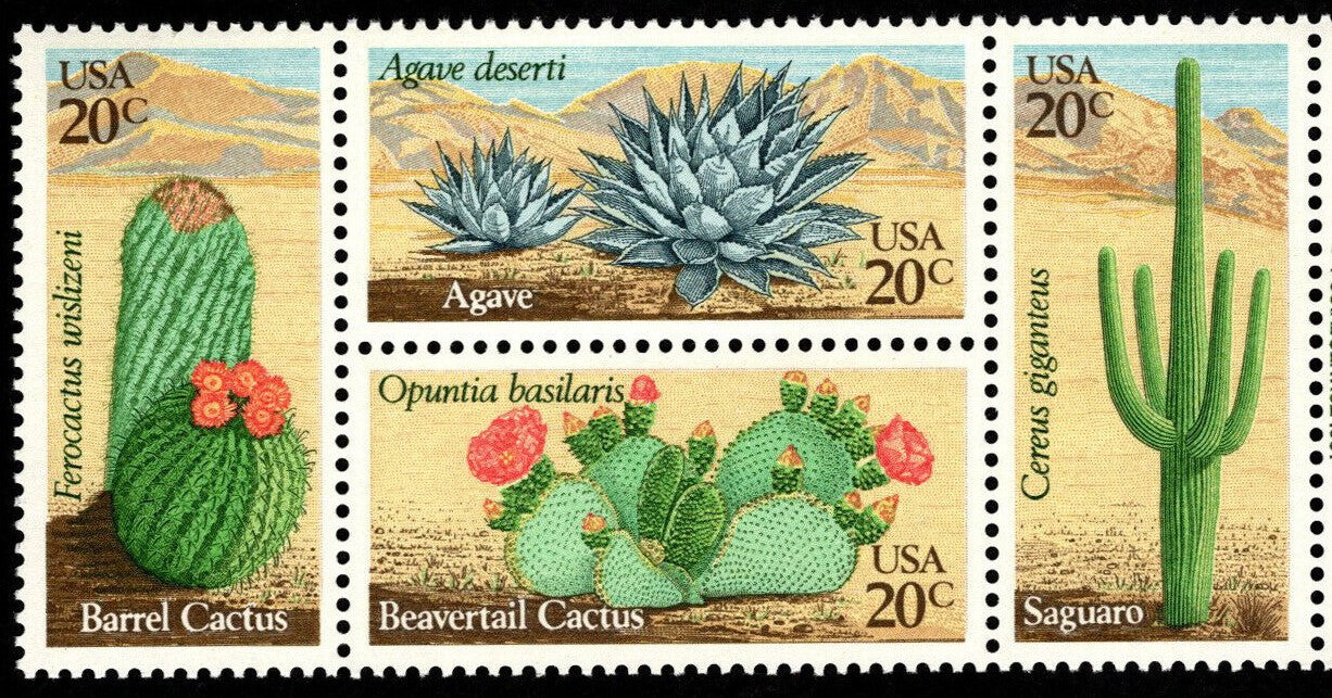 succulent stamps usps 1981 Desert Cactus Block Of 4 20c Postage Stamps Scott 1942-1945