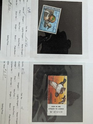 USA Duck Stamps Including Federal as Well as State Collection - M&U - 32 Photos