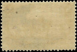 c1898 - #289 8c Trans-Mississippi - MH, OG