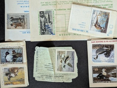 USA Duck Stamps Including Federal as Well as State Collection - M&U - 32 Photos