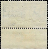 c1895 - #E5 10c Special Delivery with Imprint - Mint, No Gum - Good Centering!
