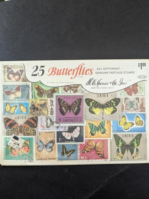 Box of OLD Stamp Collector Items for Young Collectors - Topicals - 229 Photos!
