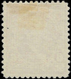 c1894 - #256 Garfield 6c USA Postage Stamp - MNH, No Gum - Light Thin - No WM