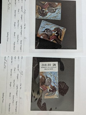 USA Duck Stamps Including Federal as Well as State Collection - M&U - 32 Photos