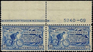 c1902 -#E6 10c Special Delivery Imprint Strip of 2 - MH, OG