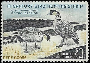 VEGAS - 1964 Duck Hunting Stamp - Scott RW31 - Gum Disturbance & Thin
