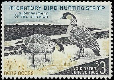 VEGAS - 1964 Duck Hunting Stamp - Scott RW31 - Gum Disturbance & Thin