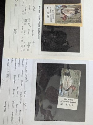 USA Duck Stamps Including Federal as Well as State Collection - M&U - 32 Photos