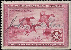 VEGAS - 1935 Duck Stamp - Scott RW2 - VF! - Used Light Crease & LR Corner Crease