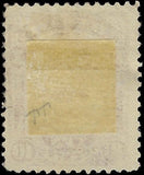 c1884 - Hawaii Scott 44 10c Postage Stamp - Used - Light Cancel