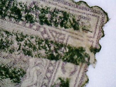 VEGAS - 1875 Gold Coast 4p - Scott 2 - Perf 12.5 - Repaired Tear - Cat= $150