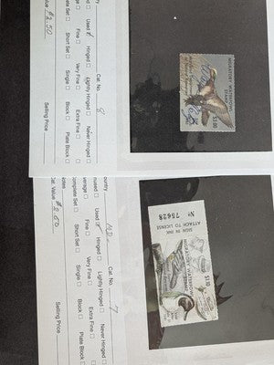 USA Duck Stamps Including Federal as Well as State Collection - M&U - 32 Photos