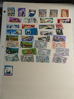 Nice Lot of International Stamps on Stock pages! -Some Old Ukraine! ~60 Photos!