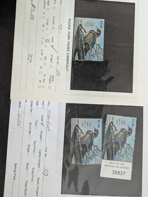 USA Duck Stamps Including Federal as Well as State Collection - M&U - 32 Photos