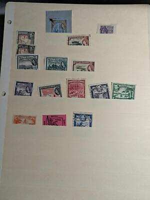 Nice Lot of International Stamps on Stock pages! -Some Old Ukraine! ~60 Photos!