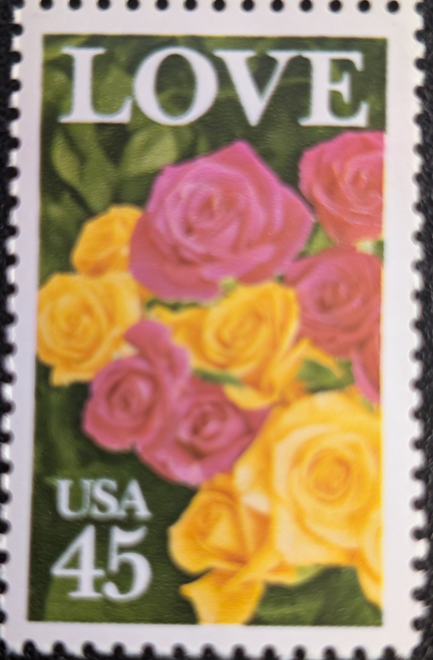 1988 Roses Love Issue Single 45c Postage Stamps - MNH, OG - Scott 2379