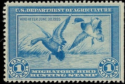 c1934 10c Hunting Permit Duck Stamp - Sc# RW1 - MN, OG - Solid