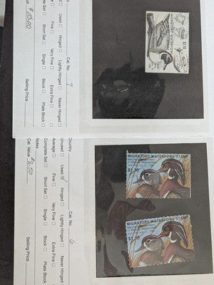 USA Duck Stamps Including Federal as Well as State Collection - M&U - 32 Photos