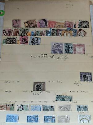 Nice Lot of International Stamps on Stock pages! - M&U - See ~66 Photos!