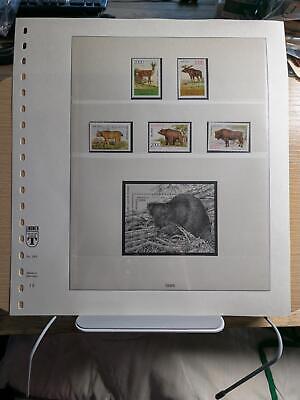 White Russia/Belarus & Moldova on Nice Lindner Pages -Some Better MNH ~69 Photos