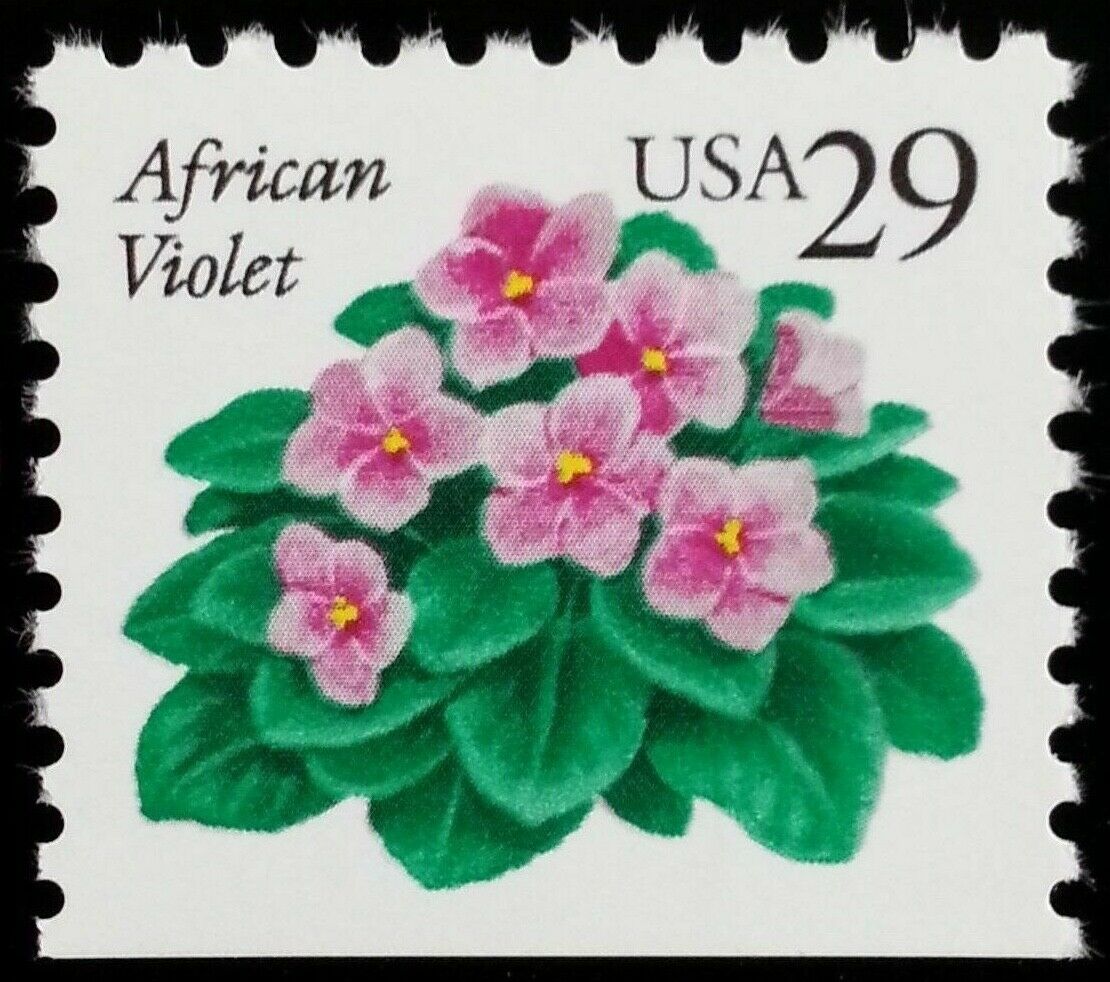 1991-95 African Violets Single 29c Postage Stamp - Scott 2486 - MNH, OG - CX646a