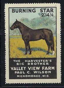 VEGAS - Valley View Horse Farm, Menomonee, WI Promotional Poster Stamp-Read Desc