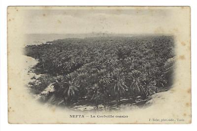 1904 Tunisia To France Photo Postcard - "Nefta - Oasis" (XX74)