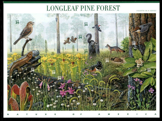 2002 Longleaf Pine Forest Sheet of 10 34 Cent Postage Stamps - Scott 3611 - MNH, OG - CX24