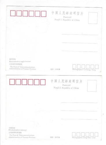 8 1991 PR China First Day Postcards Sc #2330-7 - Rhododendrons Set (R94)
