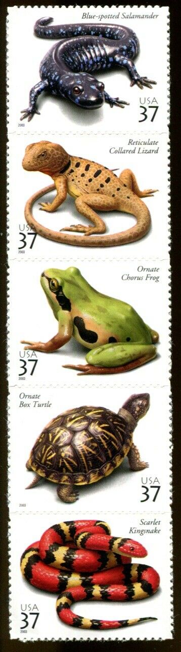2003 Reptiles & Amphibians Strip Of 5 37c Postage Stamps - Scott 3814-3818 - MNH, OG - CX11a