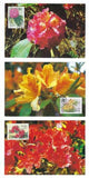 8 1991 PR China First Day Postcards Sc #2330-7 - Rhododendrons Set (R94)