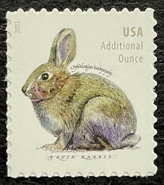 2021 Brush Rabbit Single Extra Ounce (20c) Postage Stamp - MNH, OG - Scott 5544