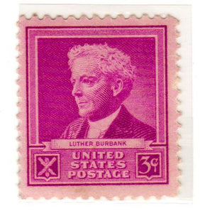 1940 Luther  Burbank - Scientists - Single 3c Postage Stamps  - SC# 876 -  MNH,OG