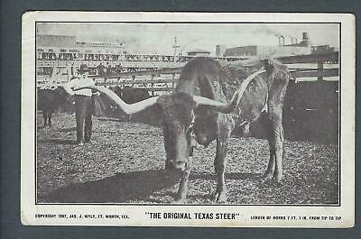 VEGAS - Posted 1912 "Original Texas Steer" Ft Worth, TX Photo Postcard - FE402