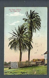 VEGAS - Posted 1912 "Oldtown" San Diego Old Palms Planted 1769 Postcard - FK191