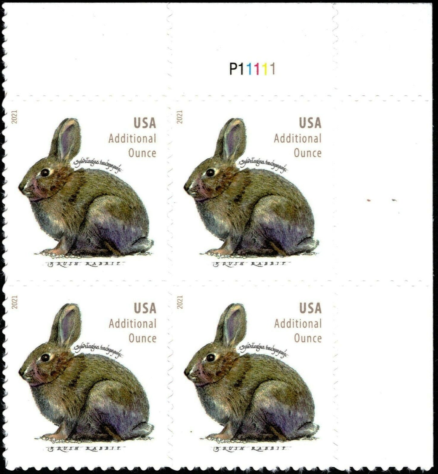 2021 Brush Rabbit Plate Block Of 4 20c Postage Stamps - MNH, OG - Scott 5544