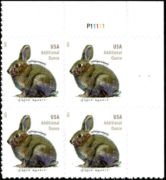 2021 Brush Rabbit Plate Block Of 4 20c Postage Stamps - MNH, OG - Scott 5544