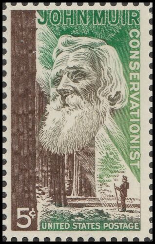1964 John Muir Single 5c Postage Stamp - MNH, OG - Scott 1245 - CX242