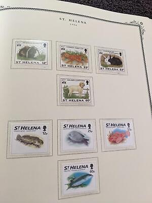 VEGAS Well Filled British Africa Scott Album Collection - Bette Cat! ~120 Photos