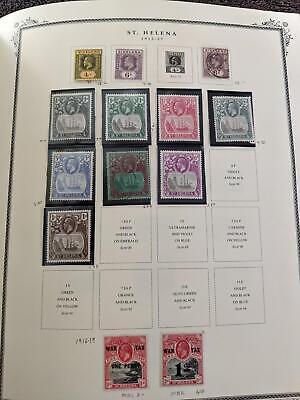 VEGAS Well Filled British Africa Scott Album Collection - Bette Cat! ~120 Photos